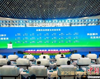 中国北京种业大会开幕 发布“全国杰出贡献玉米自交系”名单