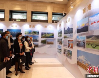 长江经济带省市政协武汉共商生态保护绿色发展