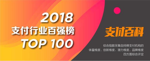 2018年支付机构TOP100百强榜（PPT）