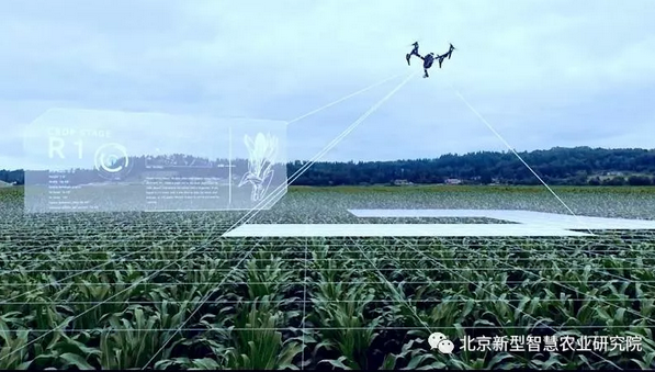 大嘉购：智慧农业发展现状大嘉购 AI技术三大方面赋能发展