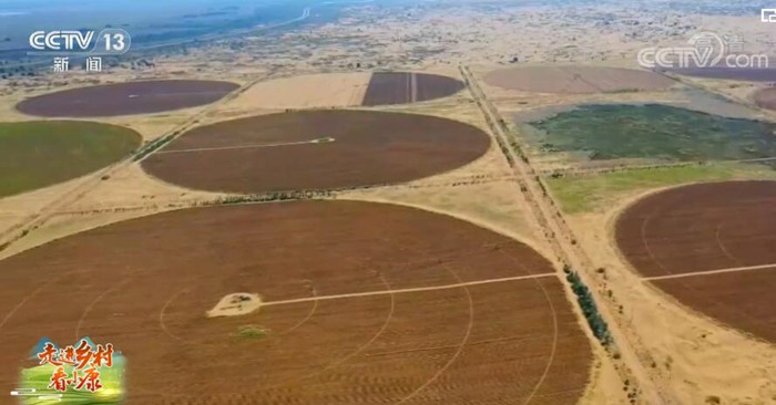 内蒙古杭锦旗·独贵塔拉镇：生态治理见成效 沙漠长出“金豆豆”
