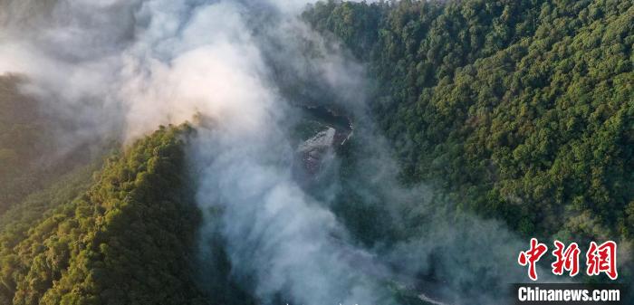 贵州省国家储备林项目完成建设面积323.7万亩